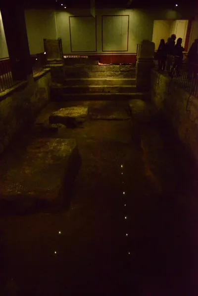 DSC_2655 (Large).JPG